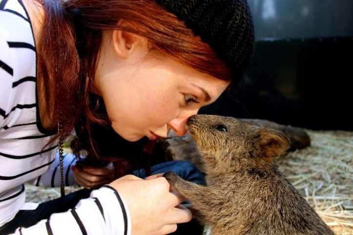 1624372700 8 19 fotos provando que na Australia nao existe momentos de