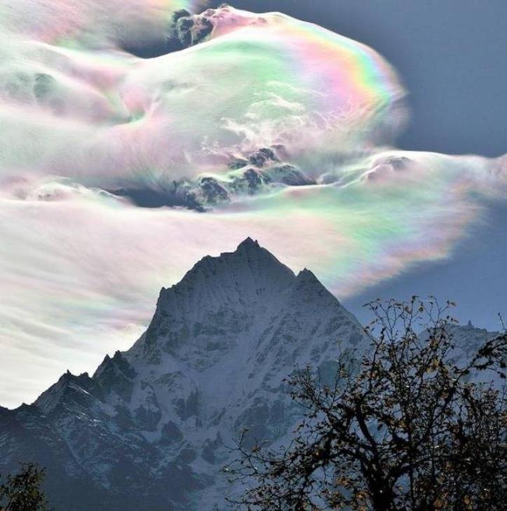 1616604579 314 13 vezes que a natureza mostrou estar realmente confusa