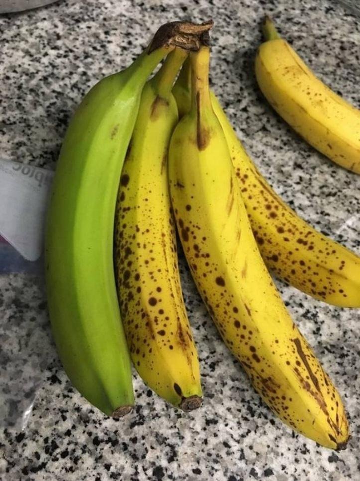 1616604583 747 13 vezes que a natureza mostrou estar realmente confusa