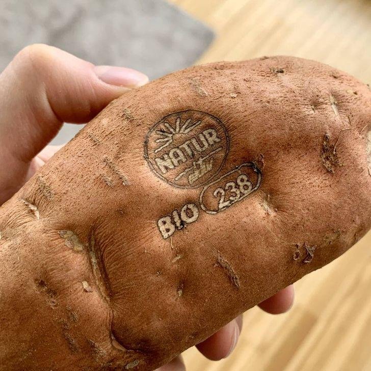 1634261552 170 16 Produtos cujos fabricantes merecem um premio por tamanha criatividade