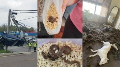 22 pessoas que não estavam em seus melhores dias