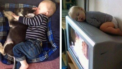 13 crianças que ainda têm muitas dúvidas sobre dormir  corretamente