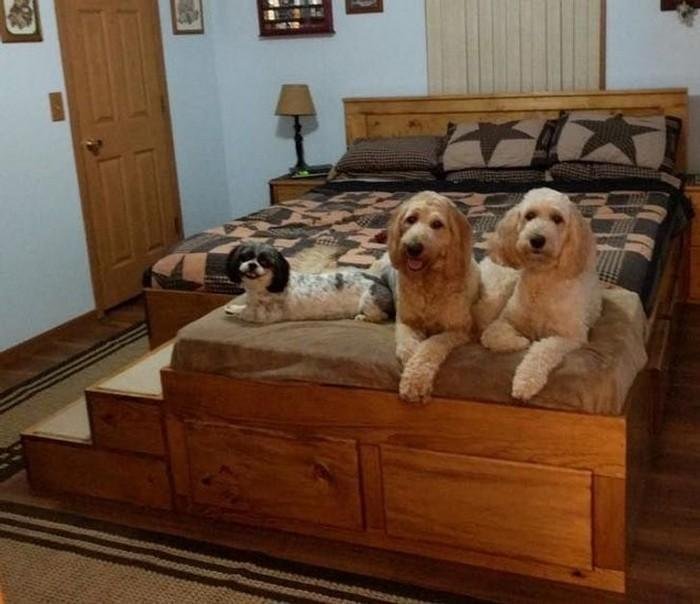 1616530082 24 20 Ideias interessantes de designs que podem fazer sua casa