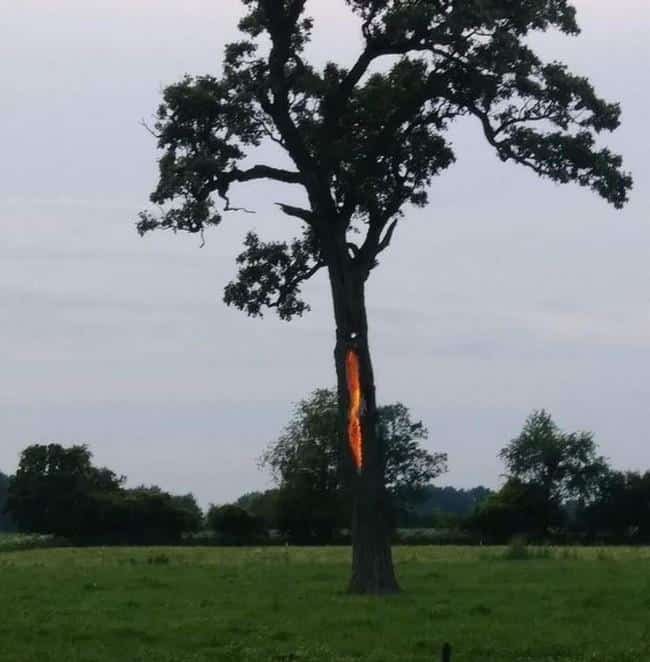 1595034068 271 19 Fotografias que nao precisam de Photoshop para impressionar