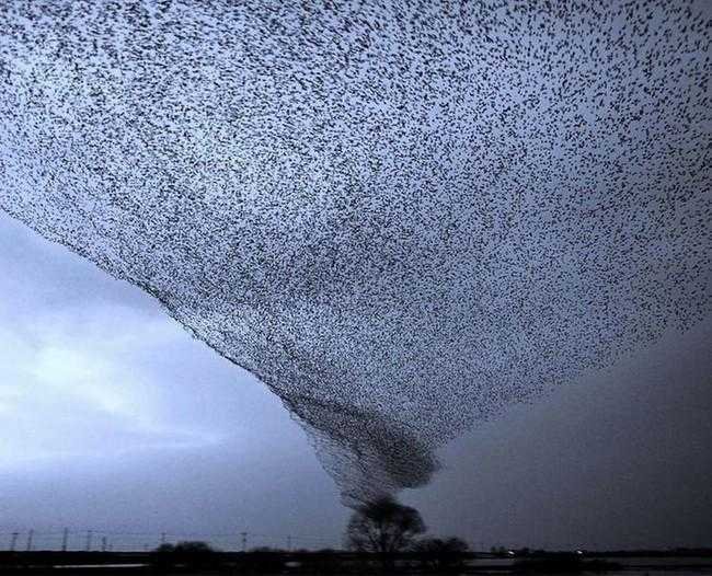 1595034071 349 19 Fotografias que nao precisam de Photoshop para impressionar