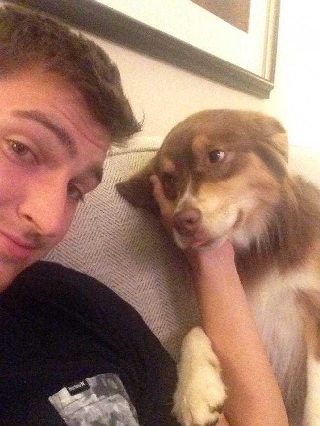 1595014445 966 15 Animais que sao um verdadeiro grude com seus donos