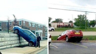 16 Provas de que estacionar errado é uma arte que poucos dominam