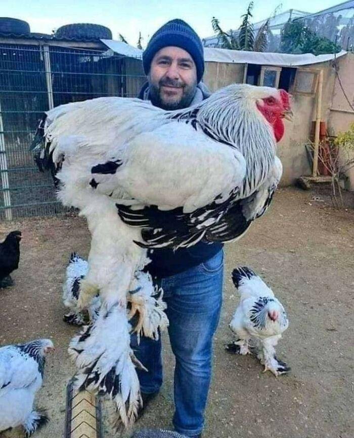1637288590 908 22 Vezes em que as pessoas compartilharam fotos de coisas