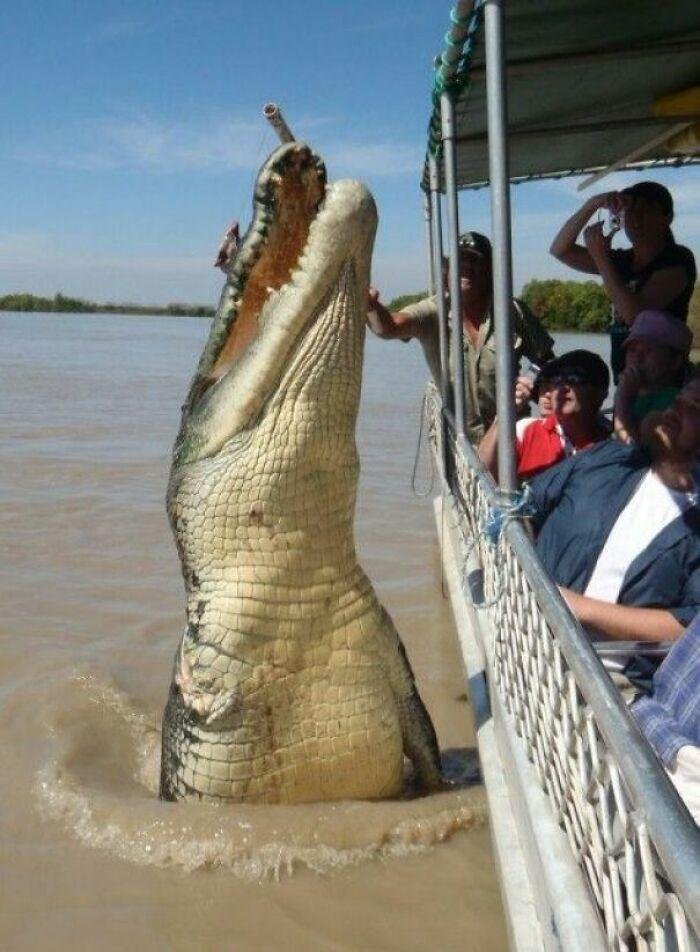 1637288600 215 22 Vezes em que as pessoas compartilharam fotos de coisas