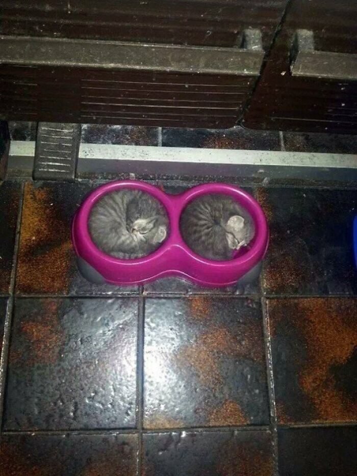 1644981033 51 22 Fotos de coisas tao satisfatorias que fazem acreditar que