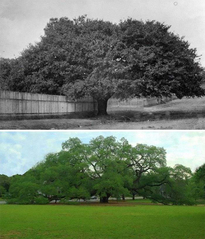 1632925202 273 21 Fotos de antes e depois de alguns lugares que