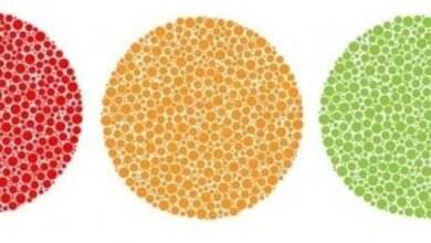 Você é um tetracromata? Faça o teste!
