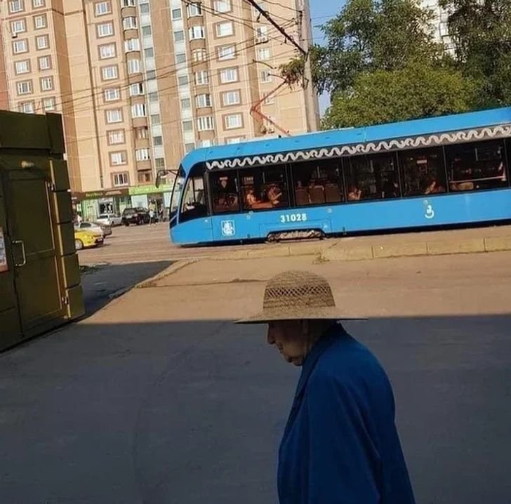 1647300196 807 17 provas de que a camuflagem esta presente em todos