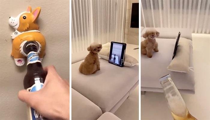 1636506477 247 20 Produtos que ninguem acreditaria que realmente existam ate agora