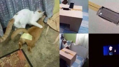 14 Pessoas que produziram gambiarras geniais