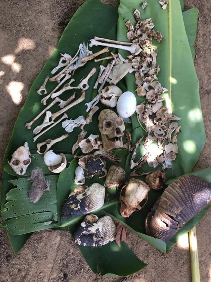 1651787817 222 22 Vezes em que a natureza deixou seu lado bizarro