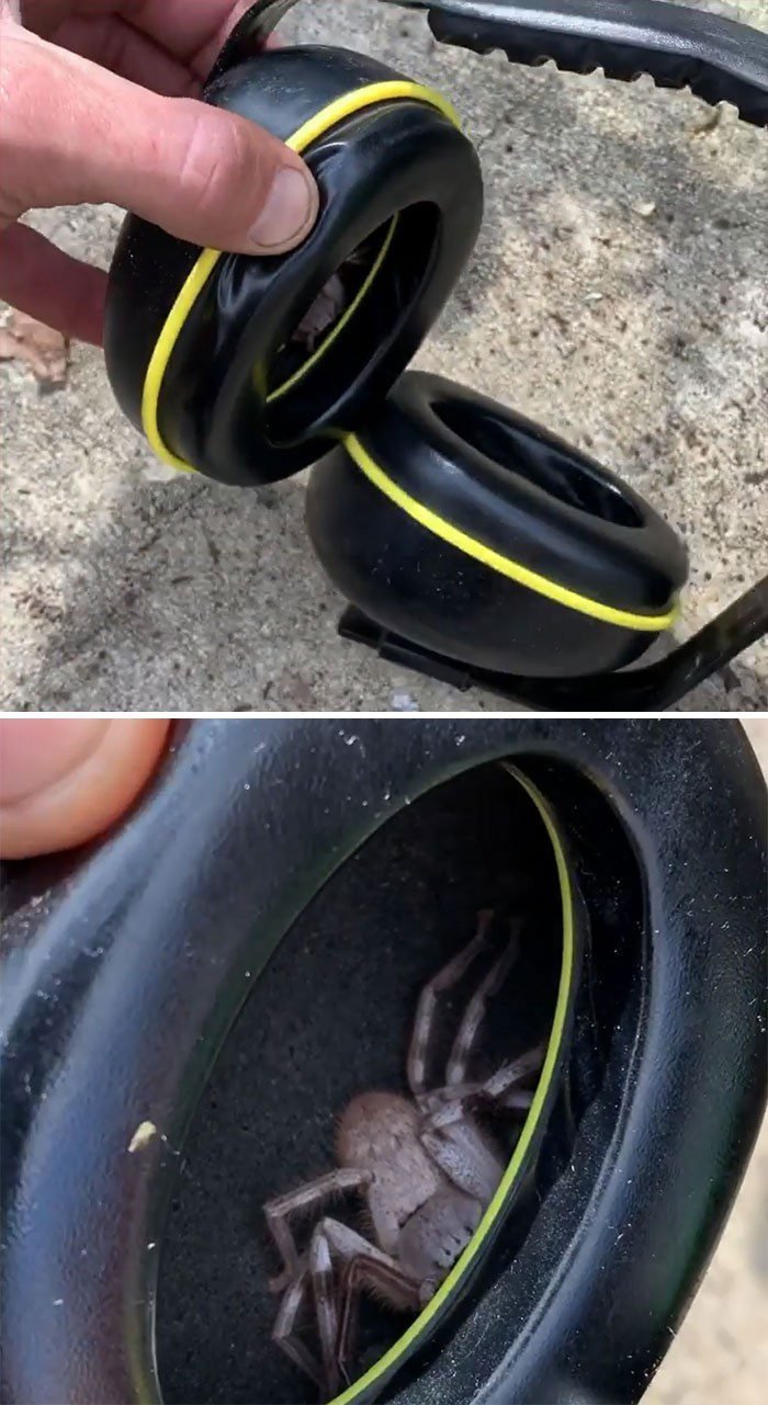 1651787818 971 22 Vezes em que a natureza deixou seu lado bizarro
