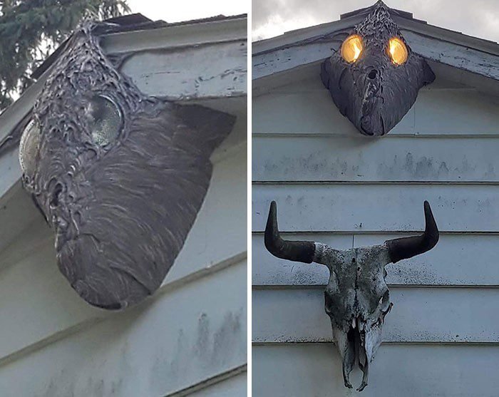 1651787826 666 22 Vezes em que a natureza deixou seu lado bizarro
