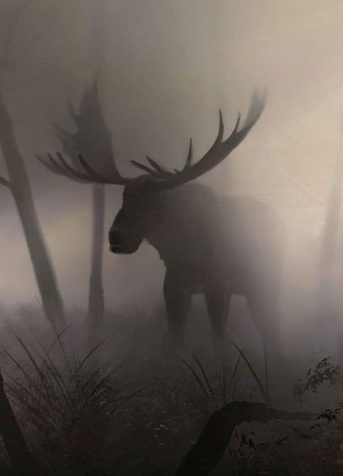 1651787831 916 22 Vezes em que a natureza deixou seu lado bizarro