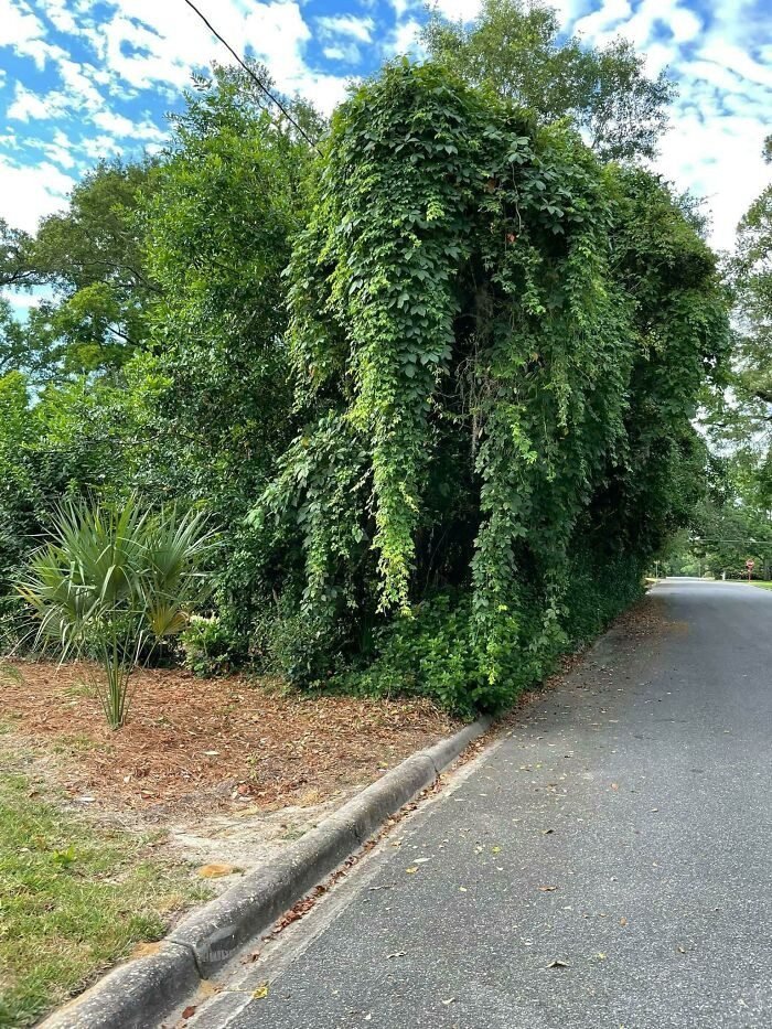 1651778679 151 22 Vezes em que as pessoas experimentaram a pareidolia e