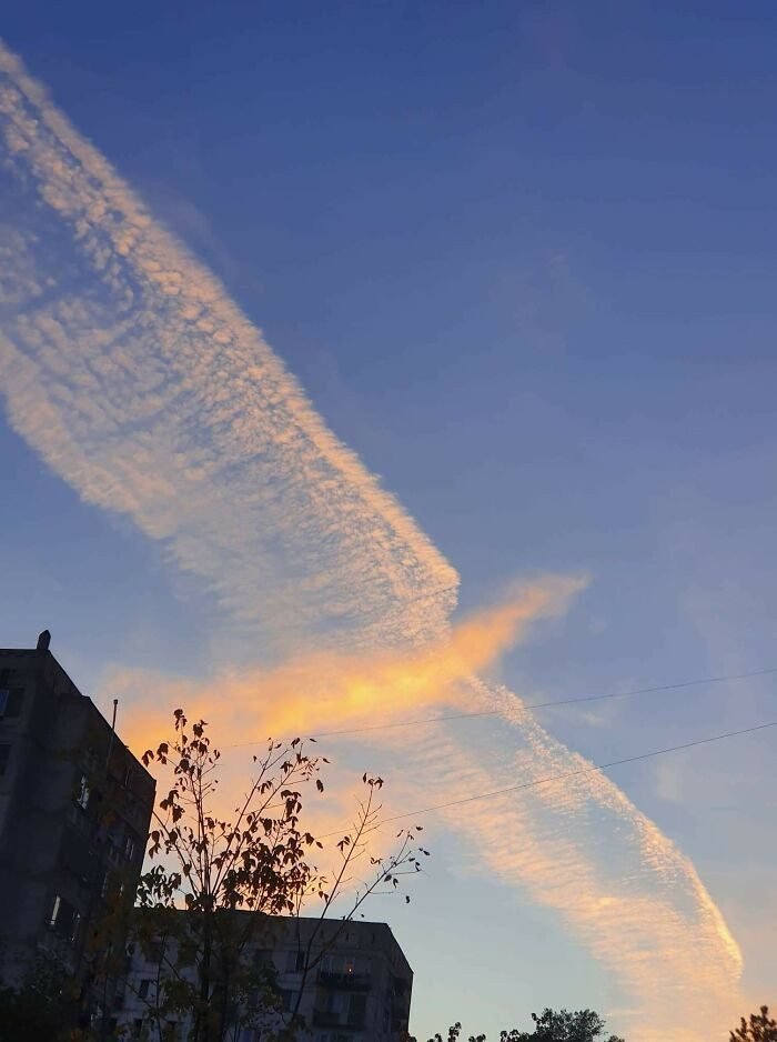 1651778689 431 22 Vezes em que as pessoas experimentaram a pareidolia e