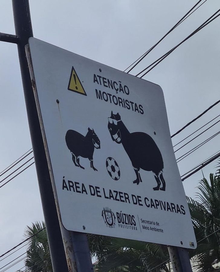 1654171101 250 15 placas e avisos divertidos mostrando que o brasileiro nao