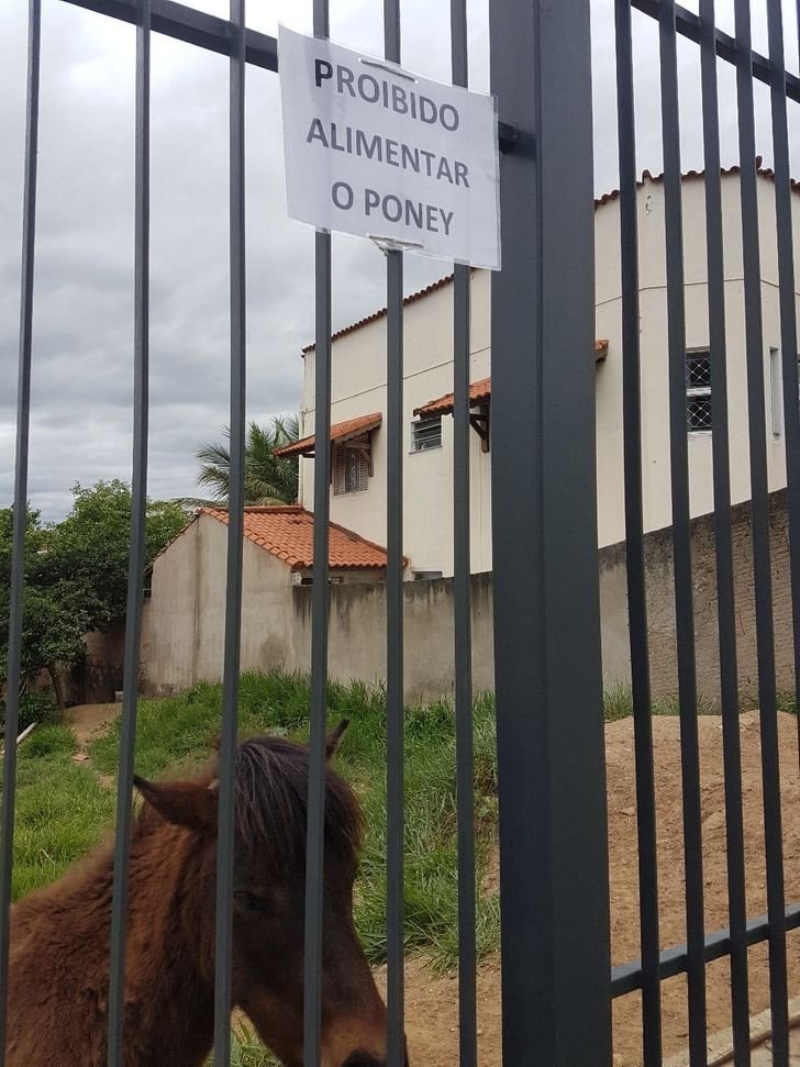 1654171105 396 15 placas e avisos divertidos mostrando que o brasileiro nao