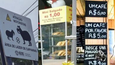 15 placas e avisos engraçados que mostram que os brasileiros não têm medo do perigo