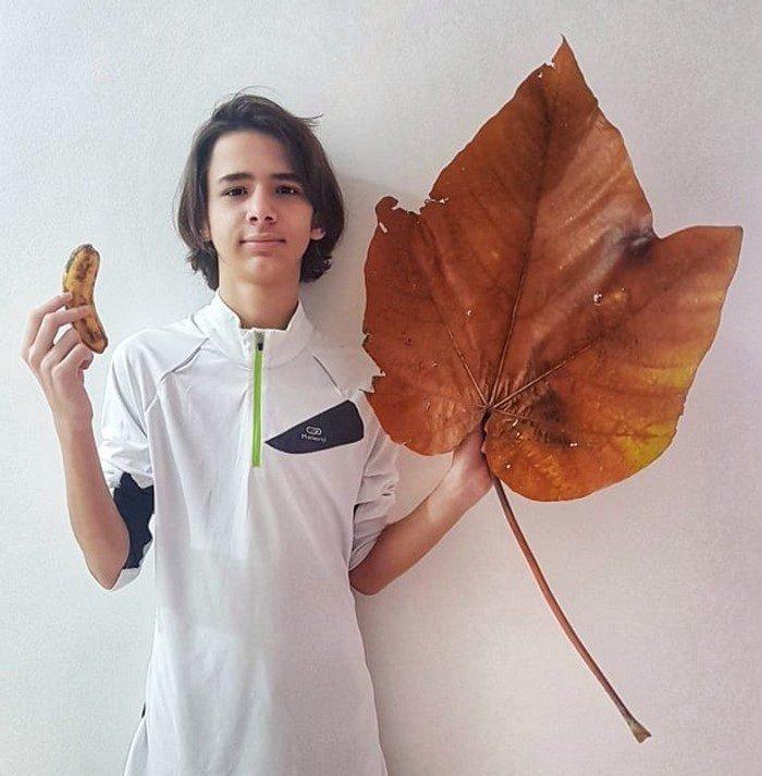 1647475889 622 15 Vezes em que as comparacoes de tamanho entre humanos