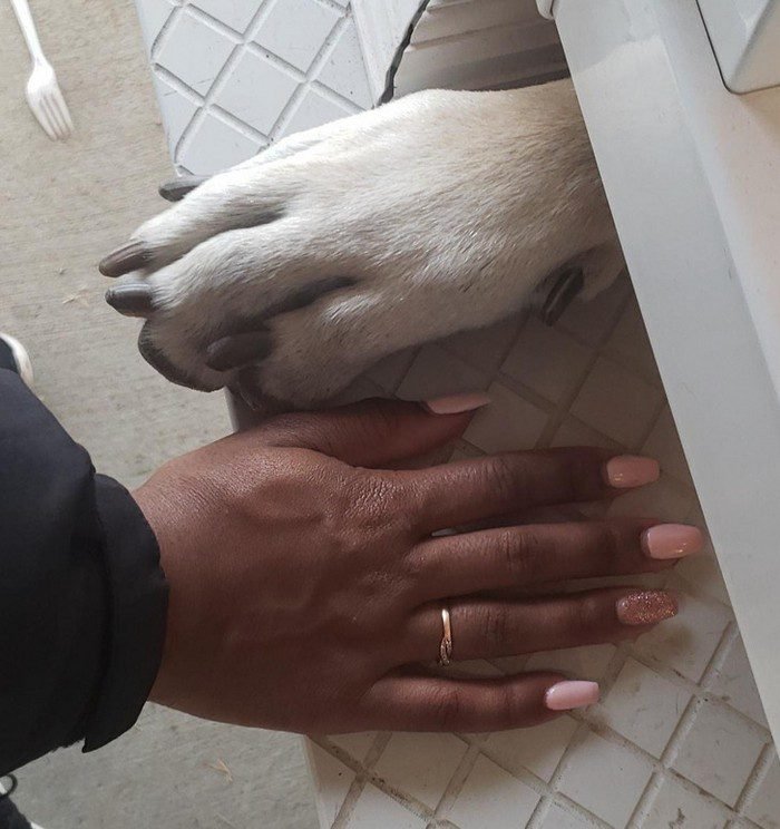 1647475892 348 15 Vezes em que as comparacoes de tamanho entre humanos
