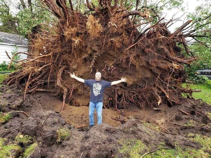 1653601225 477 24 Vezes em que o poder da natureza frustou todos