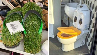 13 designers que com certeza já estão em um novo emprego