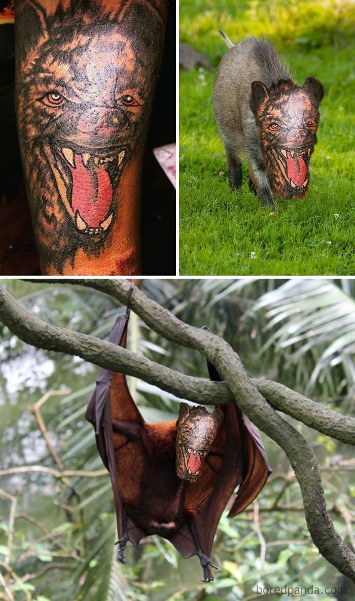 1656445691 374 21 Tatuagens que definitivamente nao foram uma boa ideia