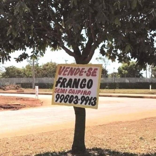 1639599466 482 27 placas divertidas que vao confundir seu cerebro tentando entende las