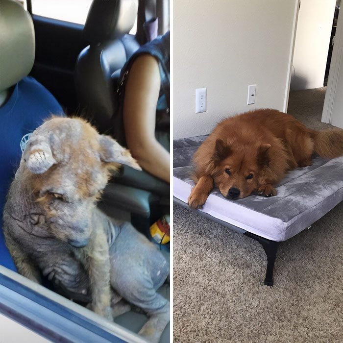 1634763916 917 22 Fotos de antes e depois que sao incrivelmente satisfatorias
