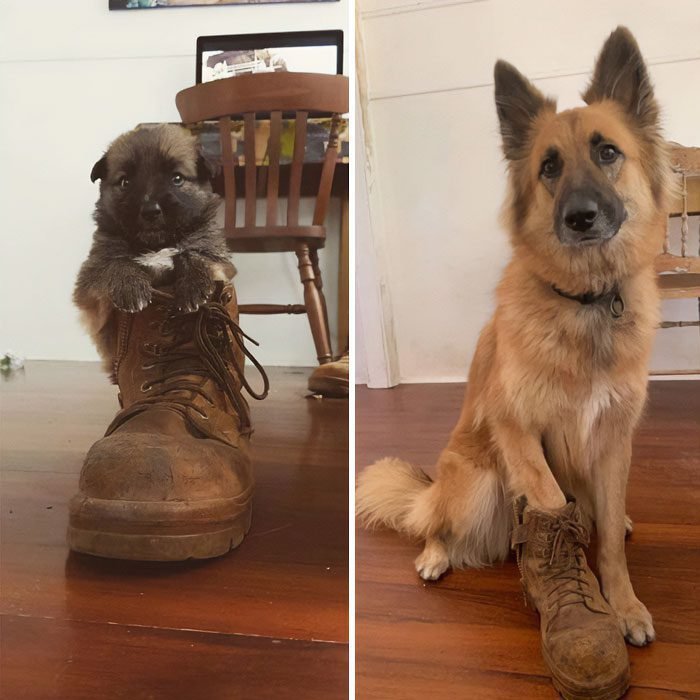 1634763924 477 22 Fotos de antes e depois que sao incrivelmente satisfatorias