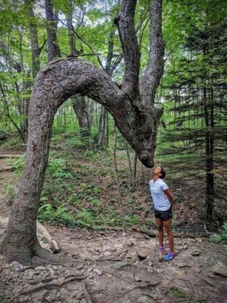 1640440954 380 29 momentos que a mae natureza estava inspirada ate demais