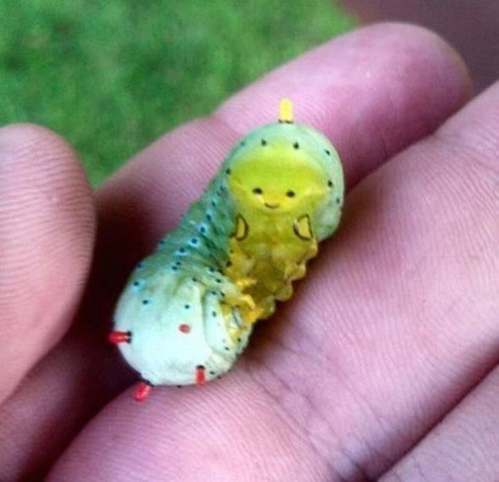 1640440959 590 29 momentos que a mae natureza estava inspirada ate demais
