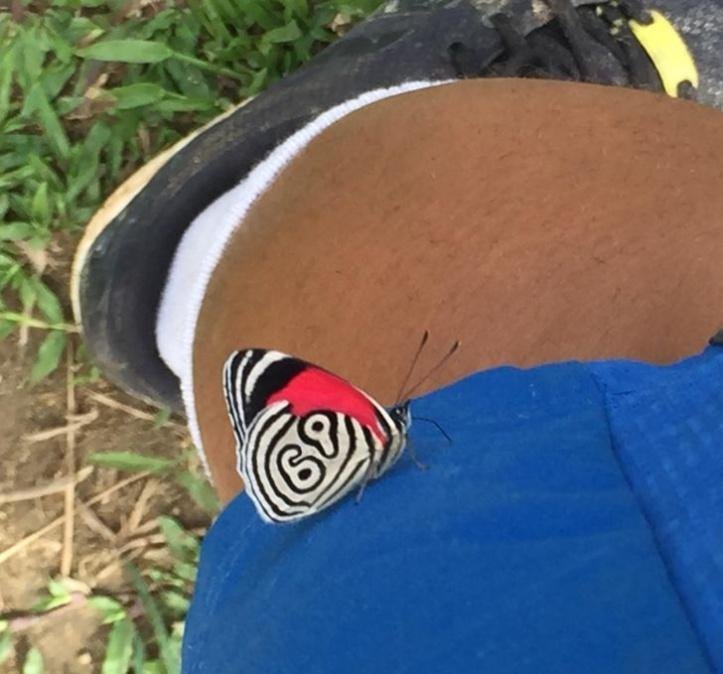 1640440961 752 29 momentos que a mae natureza estava inspirada ate demais
