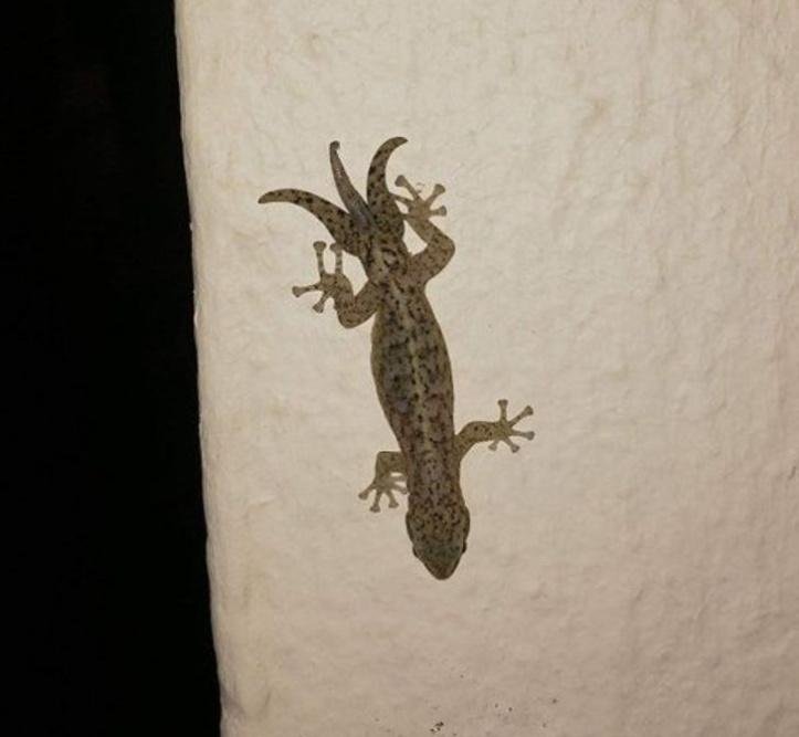 1640440965 767 29 momentos que a mae natureza estava inspirada ate demais