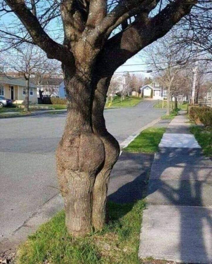 1640440983 742 29 momentos que a mae natureza estava inspirada ate demais