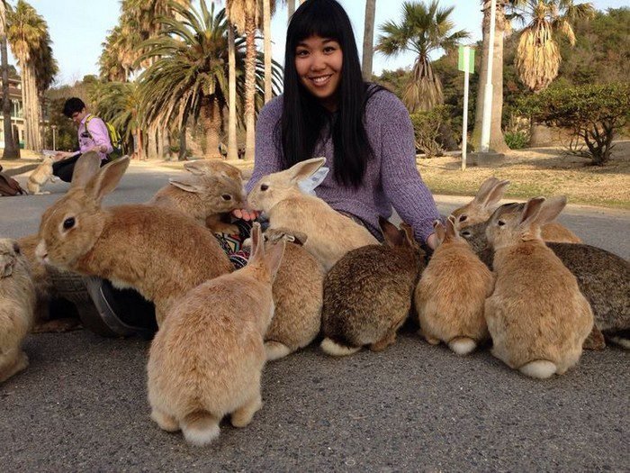 1648866972 545 18 Coisas peculiares encontradas no Japao que mostram por que