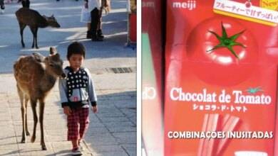 18 coisas estranhas encontradas no Japão que mostram por que o país é tão único