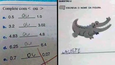 17 alunos que foram mais honestos do que precisavam em sala de aula