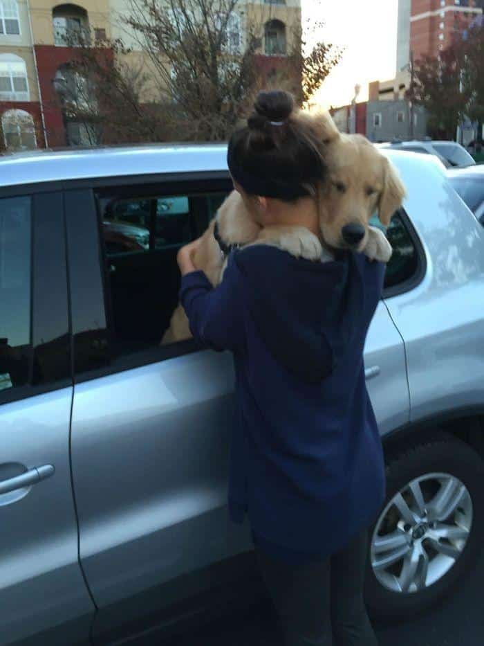 1600125725 652 23 Vezes em que os cachorros andaram de carro da