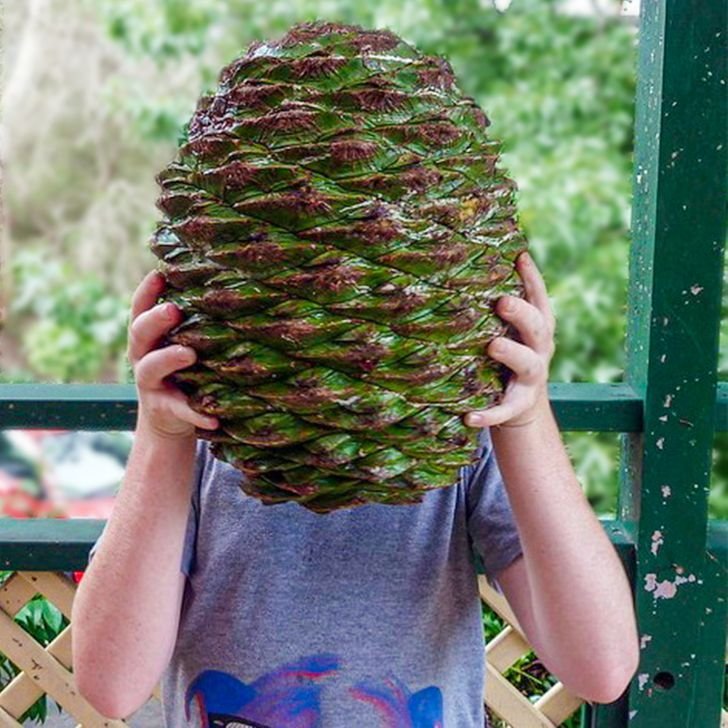 1651447761 642 23 fotos interessantes direto da Australia La a natureza pode