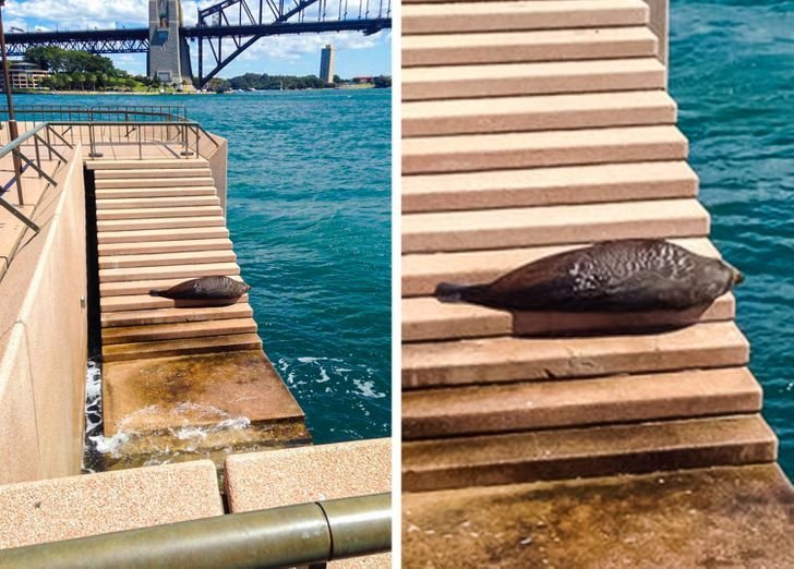 1651447764 381 23 fotos interessantes direto da Australia La a natureza pode