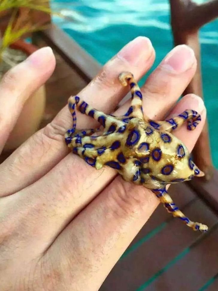 1651447765 604 23 fotos interessantes direto da Australia La a natureza pode