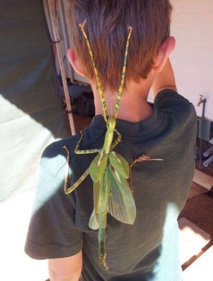 1651447767 441 23 fotos interessantes direto da Australia La a natureza pode