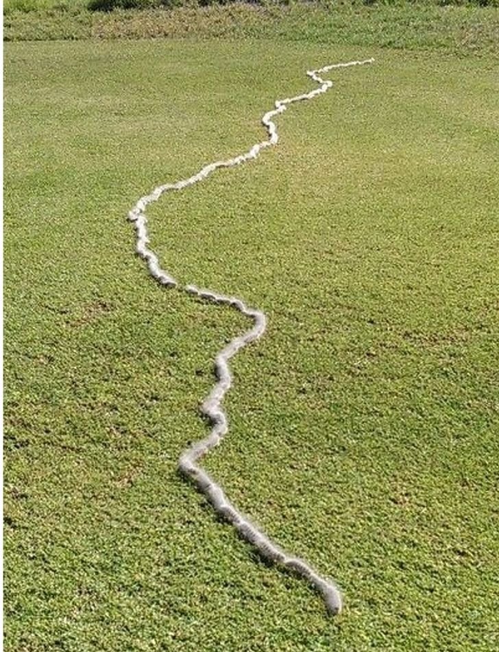 1651447775 603 23 fotos interessantes direto da Australia La a natureza pode